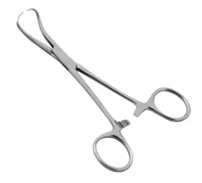 Pinca Backhaus 13Cm Odontologico - Pin018