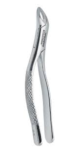 FORCEPS Nº 62 ADULTO GOLGRAN